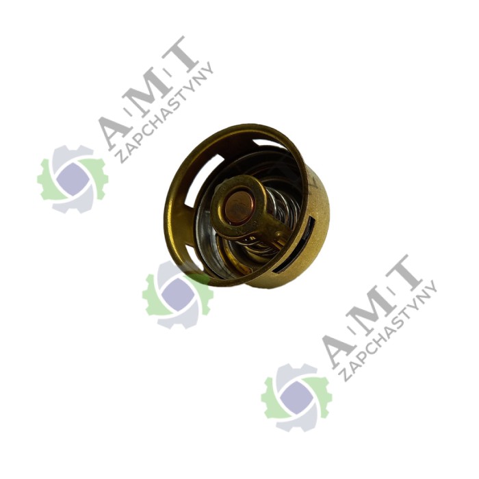 Термостат TY295IT