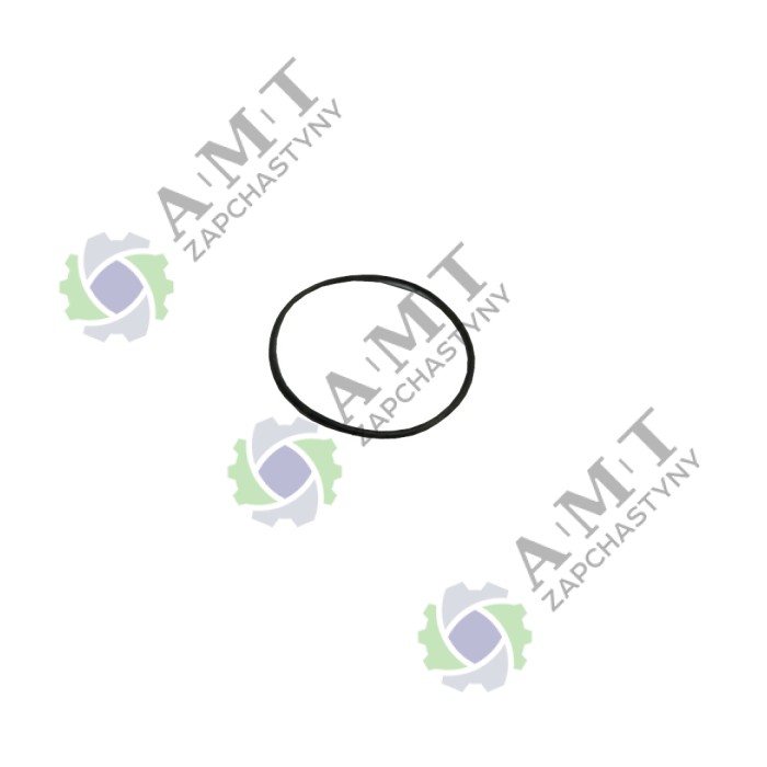 Кольцо уплотнительное маслянного насоса DL190-12