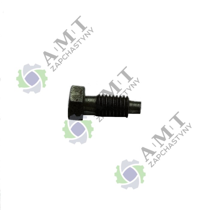 Болт ограничительный TY290