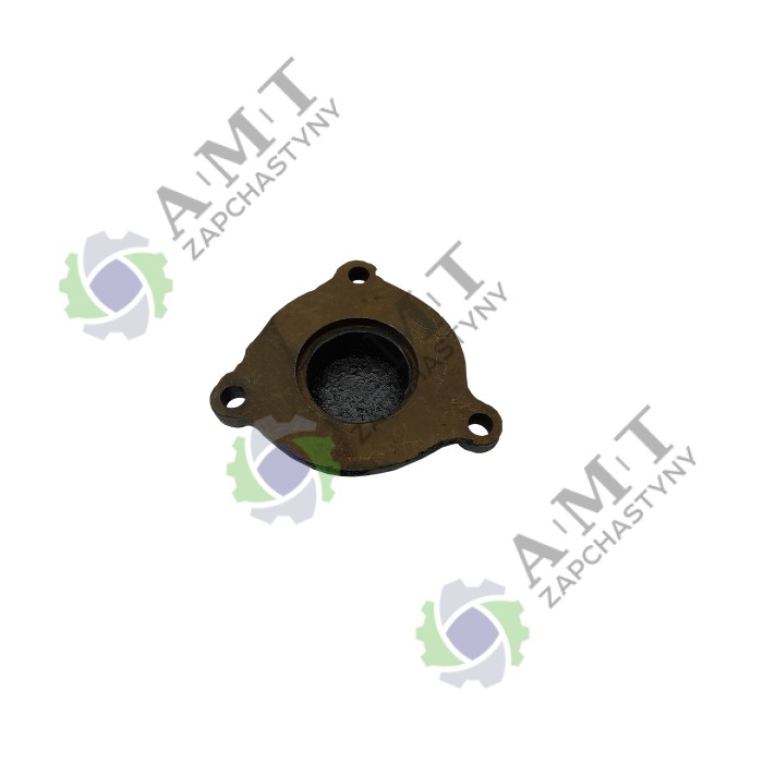 Крышка корпуса заводного механизма TY290