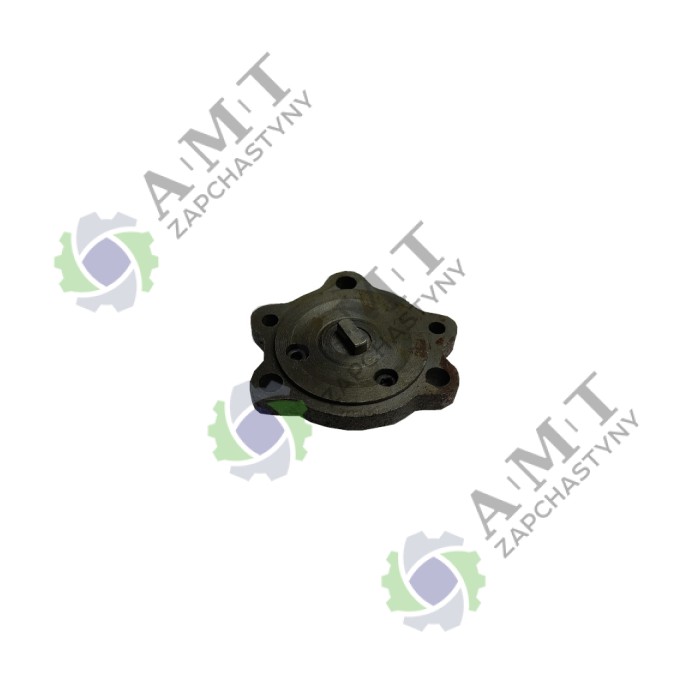 Насос масляный ZS1110